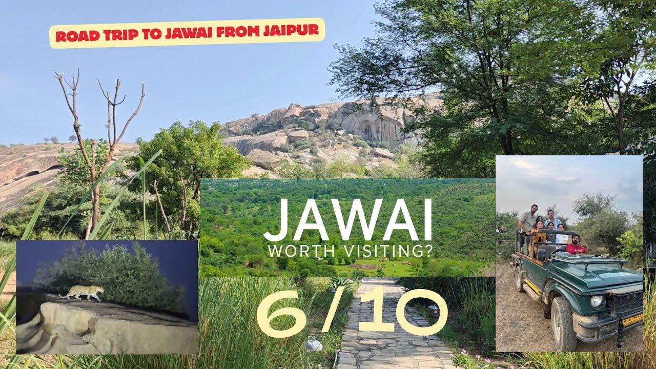 Jaipur to Jawai Road Trip in Tata Safari | Leopard Safari Experience | Is Jawai Worth Visiting?